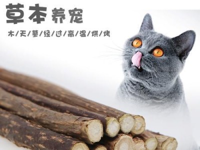 以木天蓼-猫薄荷同样适合猫咪的神奇植物（猫咪的福音——以木天蓼对猫咪有猫薄荷的作用）