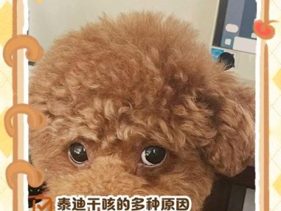 解决泰迪咬人问题的有效方法（如何纠正泰迪咬人行为，让它成为友善的伙伴）