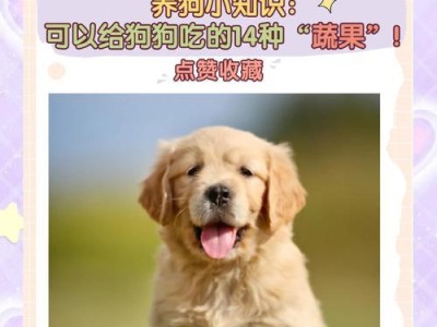 幼犬禁食水果蔬菜，呵护它的健康成长（千万别让你的幼犬吃错了！）