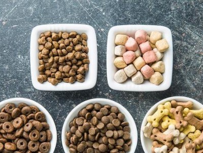 狗粮中的蛋白质和脂肪（探究宠物的增重之道，分析狗粮中蛋白质和脂肪对狗狗增肥的影响。）