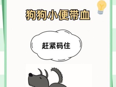 狗狗喝水后多久小便？解密你的宠物排尿规律（揭秘狗狗饮水与排尿的时间间隔及相关因素）
