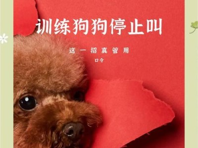 狗狗叫声持续时间的探究（揭秘狗狗叫声的停止时间以及影响因素）