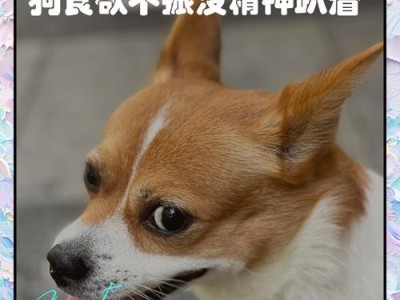 狗狗没有食欲，可能的原因及应对方法（了解这八个原因，让你的狗狗重新恢复食欲）