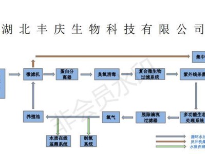 饲养齐兴肉兔的方法（兔舍建设、饲料配置、疾病预防等）