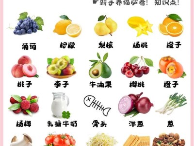 猫咪的饮食禁忌（小心喂食！给猫咪吃人类食物要慎重，）
