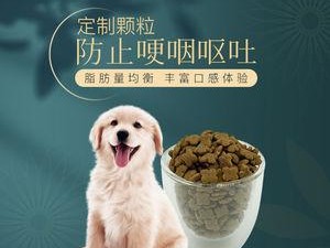 如何选择适合小幼犬博美吃的狗粮（了解它的特点与需求，让它健康成长）