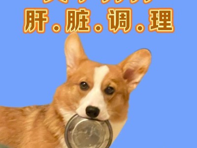 如何调理狗狗肝不好吃什么食物（保护宠物肝脏健康的养护方法）