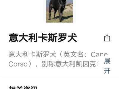 探秘卡斯罗犬（了解卡斯罗犬的价格、训练技巧和独特特点）