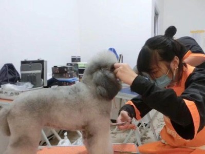 宠物美容费用为什么这么贵？（揭秘宠物美容费用背后的真相）