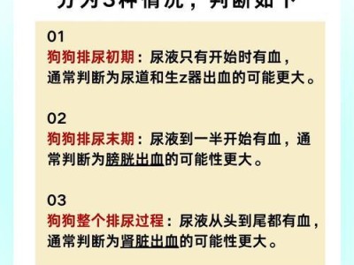 狗大便血水的原因及处理方法（狗大便血水可能的病因及预防措施）