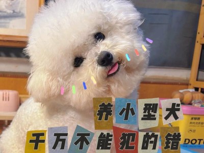 比熊犬的水果饮食（了解比熊犬的水果喂养指南，让你的宠物健康快乐）