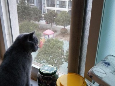 猫喜欢住在外面的理由及适合的地方（探索猫咪喜欢住在户外的原因及推荐的合适环境）