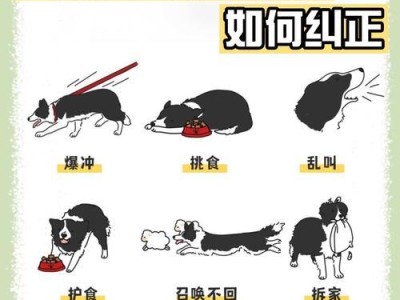 狗狗的健康需要，溜步是必要的（了解狗狗溜步频率的重要性，让它们健康快乐成长）