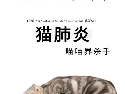 小猫咳嗽的饮食禁忌（了解猫咳嗽后必须避免的食物）