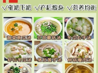 催奶食物（以吃什么能催奶为主题的探讨与建议）