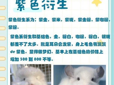 龙猫尾巴的毛长多久换一次？（龙猫尾巴的毛周期及保养要点）