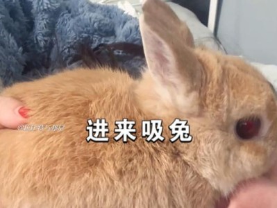 兔子为什么不臭？（探究兔子身上的气味之谜）