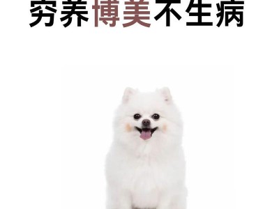 室内狗的养护（室内狗品种推荐及养护技巧）