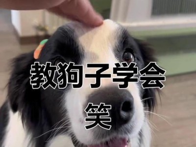 狗的笑声（狗的笑声是怎样的？）
