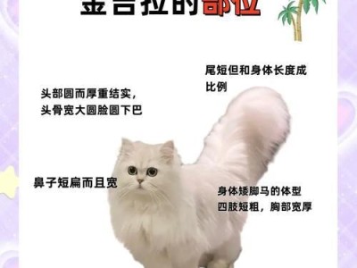 金吉拉是否属于短鼻猫？（揭秘金吉拉猫的鼻子之谜）