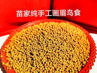 鸟类饮食的营养需求与最佳选择（探索鸟类饮食谱系，揭秘最有营养的食物）
