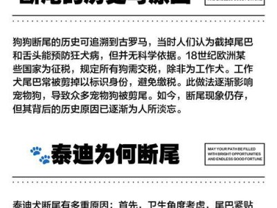 泰迪犬尾巴断尾的原因与影响（以健康为主还是以颜值为主？）