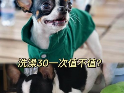 狗狗打完疫苗后多久才能洗澡？（洗澡的最佳时间和注意事项）
