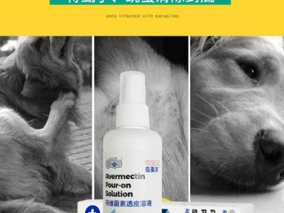边境牧羊犬驱虫方法的选择（选择适合边境牧羊犬的驱虫方法是关键）
