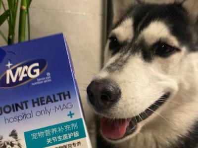 大型犬为什么要吃关节生（了解关节保健对大型犬健康的重要性）