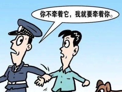 深圳养狗中型犬办证费用详解（狗证申请所需的费用及注意事项）