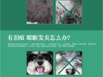 如何选择和喂养雪纳瑞幼犬的狗粮？（了解雪纳瑞幼犬的营养需求与饮食习惯）