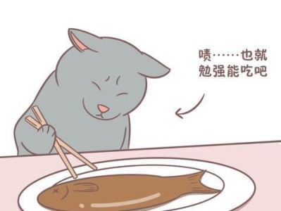 小猫食谱大揭秘（各种想不到的小猫美食大公开！）