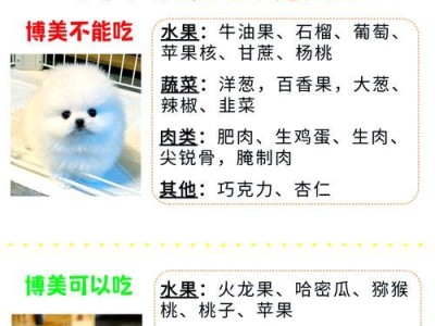 博美犬的洗澡频率及注意事项（了解博美犬洗澡的最佳频率和正确方法）
