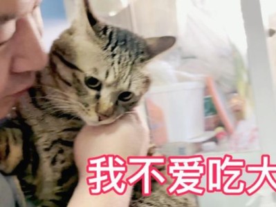 为什么猫不喜欢吃虾？（探讨猫咪对虾类食物的厌恶原因）