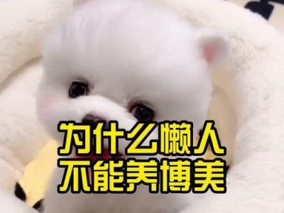 后悔养博美犬？了解博美犬的这些缺点再做决定（博美犬的缺点和影响你的生活之处）