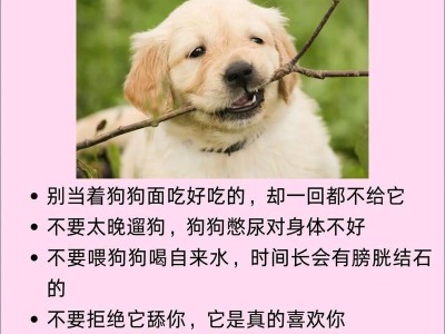五种高成本狗品种，普通人难以养育（挑战育种成本，宠物饲养需要慎重考虑）
