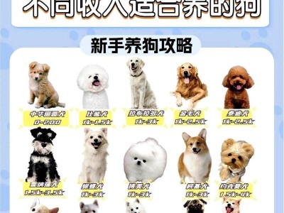 小宠物的饲养之道（探索养宠乐趣，为宠物提供幸福生活）