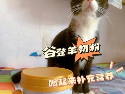 猫咪冲羊奶的正确水温（水温的重要性和适宜范围）