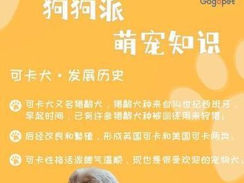 可卡幼犬的科学喂养方法（健康成长的关键是正确喂养）