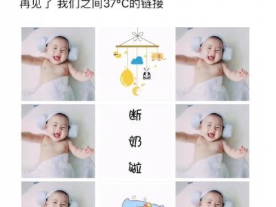 比熊犬断奶后的饮食问题解析（幼犬断奶后如何正确补充营养）