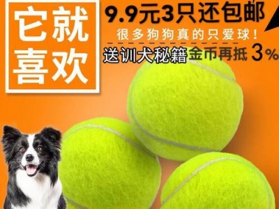 如何轻松辨别真假金毛犬？（5个挑选秘籍，别再买错了！）