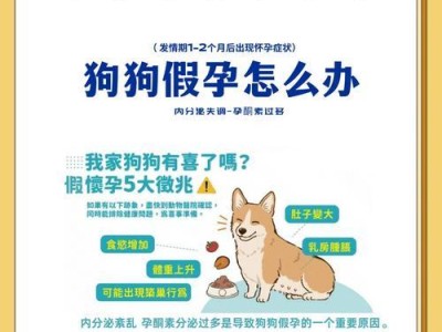 母狗怀孕期间适合运动吗？（犬类孕期运动探讨及关键时刻把握）