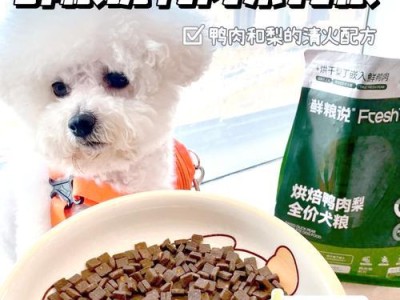 比熊的排便频率及注意事项（了解比熊的大便情况，为其健康负责）