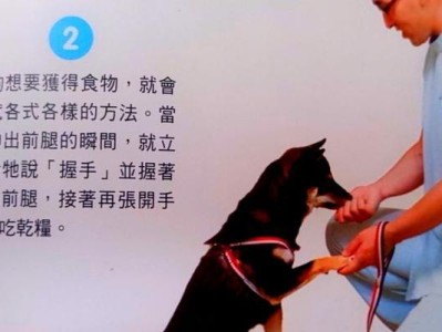 大丹犬脱毛解决方案（让宠物变得更健康、更美丽）