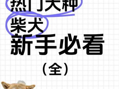 如何挑选柴犬幼犬？（赤柴汇总篇·必看）