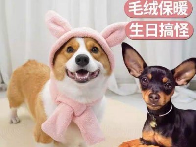 狗狗头套该带多久？（探讨狗狗头套的使用时间及注意事项）