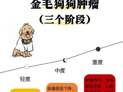 狗狗肿瘤能活多久吗？（了解狗狗肿瘤的生存时间和关键因素）