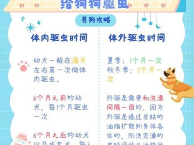 小狗满月后的合适饮食安排（新手饲主如何为小狗提供营养均衡的食物）