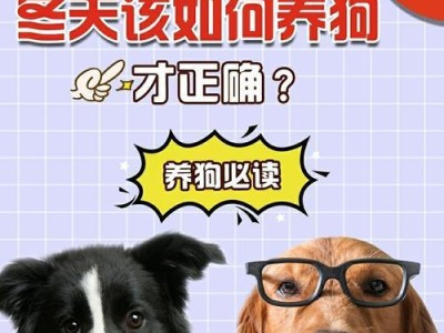 打了疫苗的狗狗什么时候驱虫才合适？（狗狗驱虫的最佳时间和注意事项）