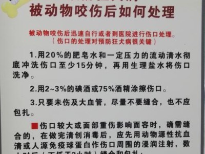 猫咬伤了怎么办？有效药物及处理方法一览（教你正确处理猫咬伤，保证伤口快速康复）